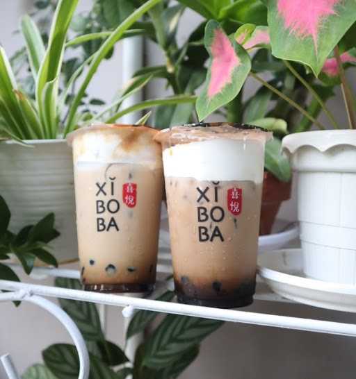 Xiboba Kendal 8