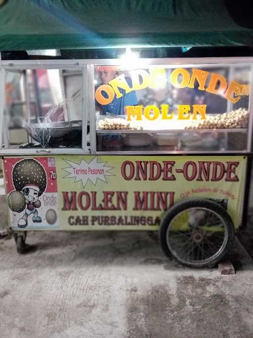 Onde Molen Mini 10