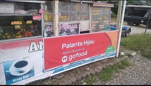 Palanta Hijau 9