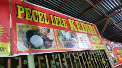 Pecel Lele Lamongan 4