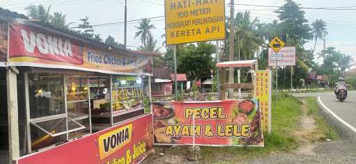 Pecel Lele Vonia 3