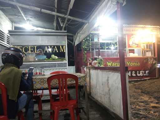 Pecel Lele Vonia 2