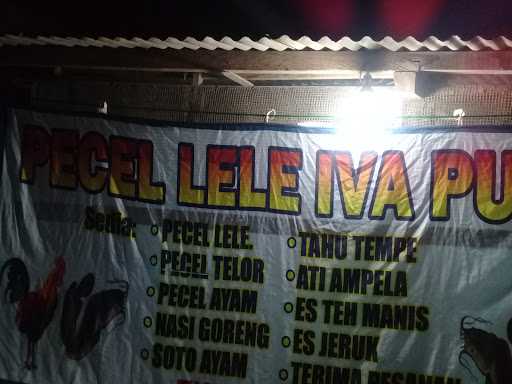 Pecel Lele Berkah 2