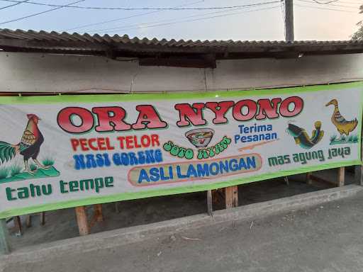 Pecel Lele Ora Nyono Lamongan 1