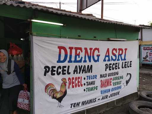 Warung Pecel Lele Dieng Asri 5