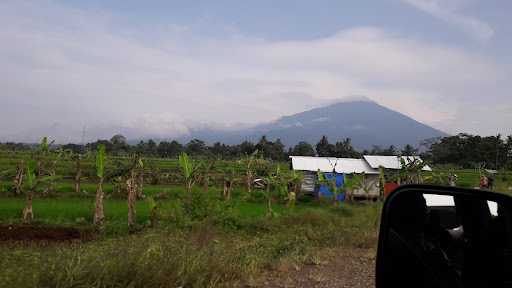 Sawah Sidugal 4