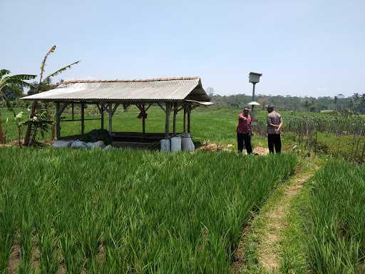 Sawah Sidugal 3