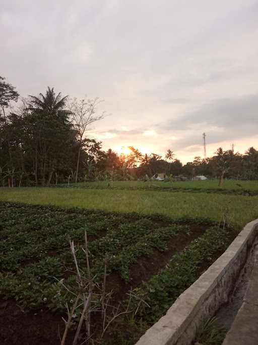 Warung Nasi Amih 7