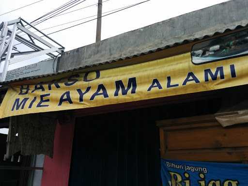 Bakso Mie Ayam Alami 1