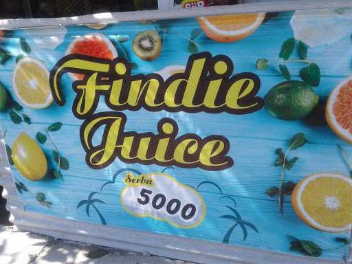 Findie Juice 1