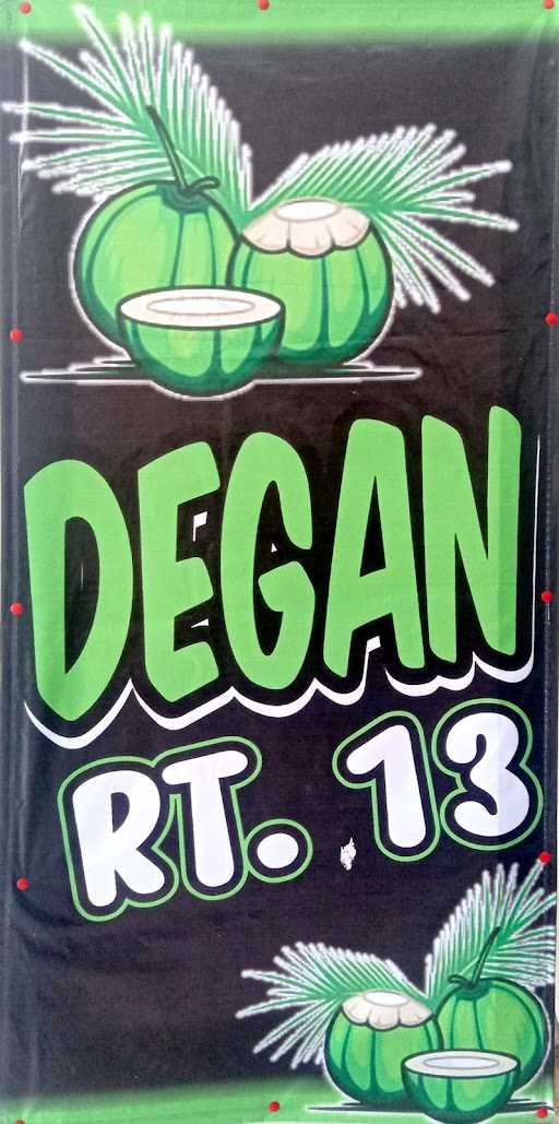 Degan Rt 13 3