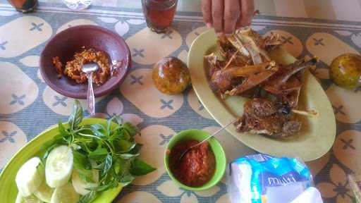 Aneka Bebek Madiyo 8