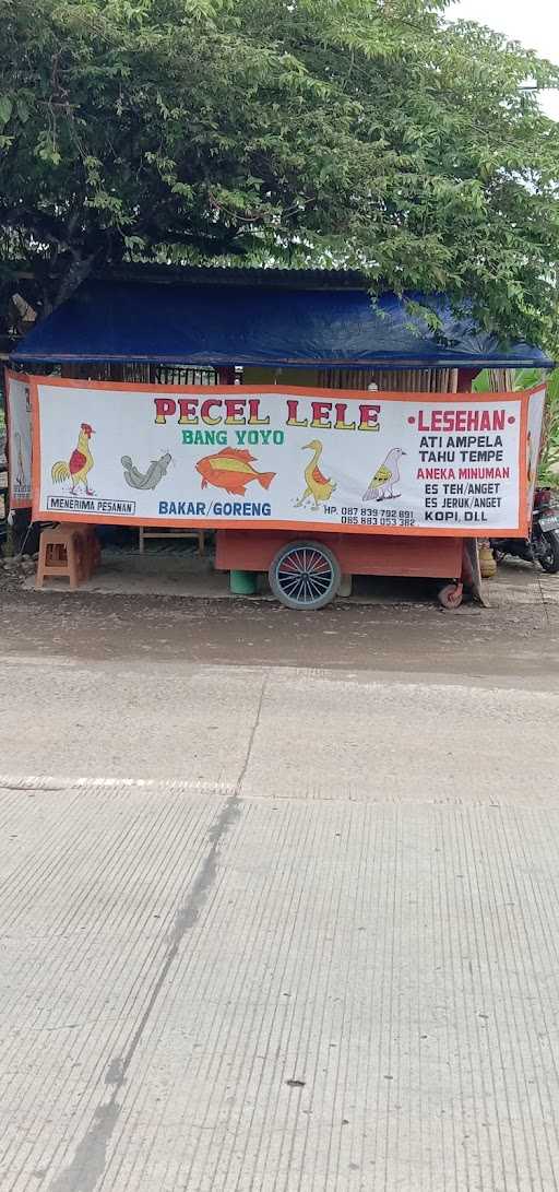 Pecel Lele Lesehan Bang Yoyo 9