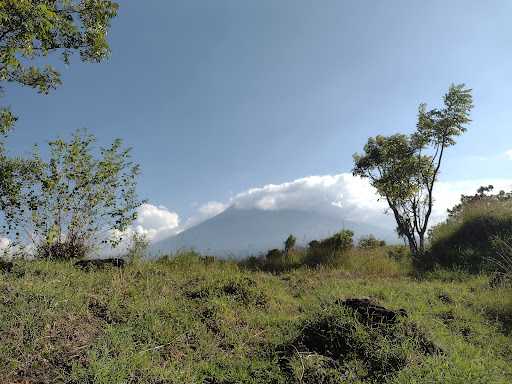 Warung Babi Guling Ardika 8