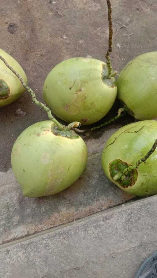 Warung Makan Utiku 3