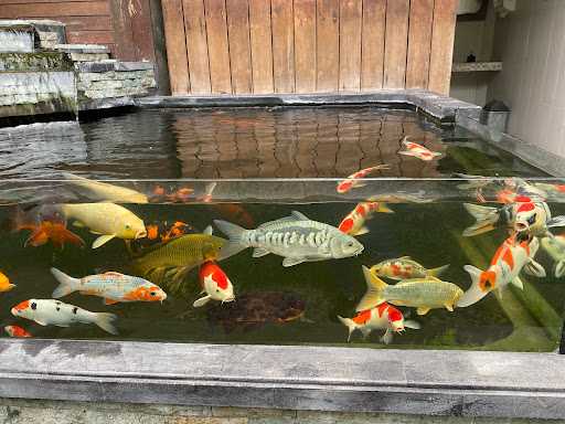 Nasi Ayam Kedewatan Ibu Mangku - Petitenget Seminyak 10