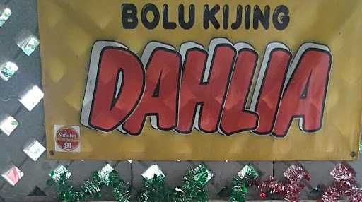 Bolu Kijing Dahlia 4