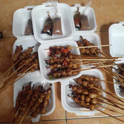 Sate Jamur Indira 1