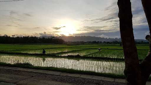 Warung Mbah Parni 6