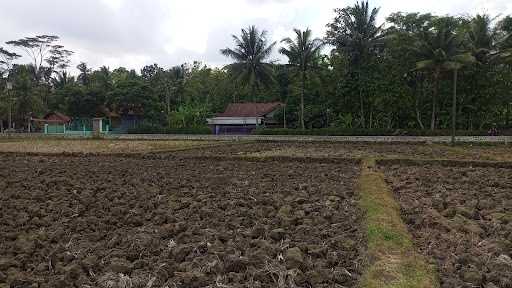 Warung Mbah Parni 7