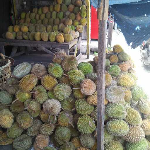 Mburak Durian 9