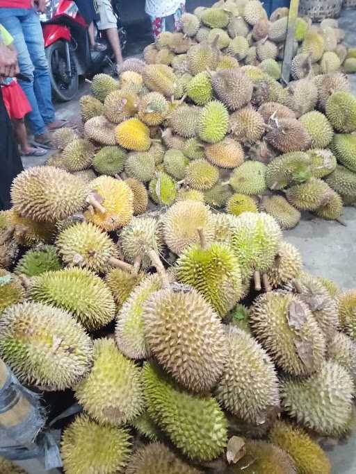 Mburak Durian 8