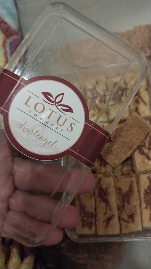 Lotus Cookies & Cake 1