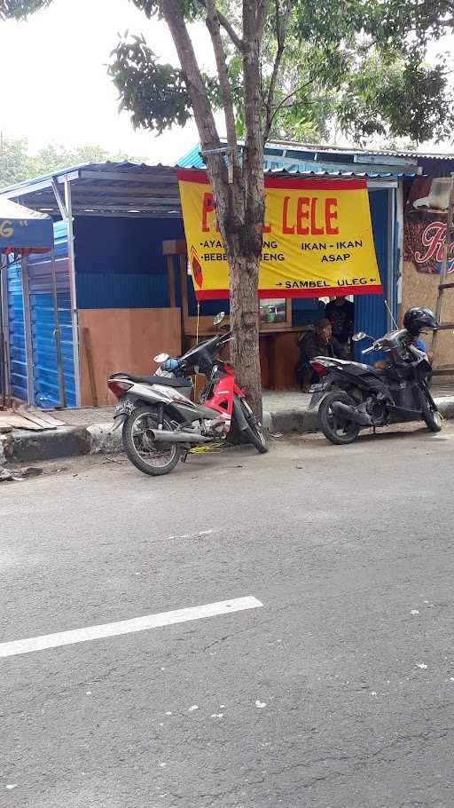 Pecel Lele /Penyetan ( Om Yoko) 6