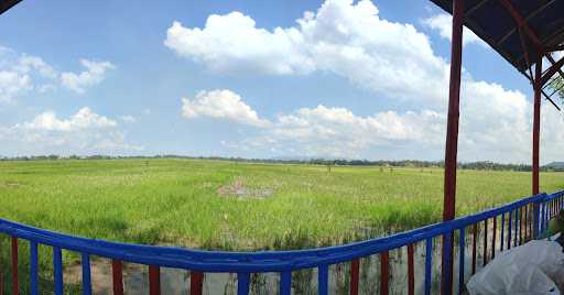 Bulak Sawah Langensari 10