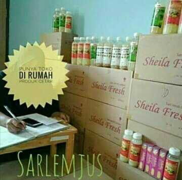 Sarlemjus Sarlemjus 8