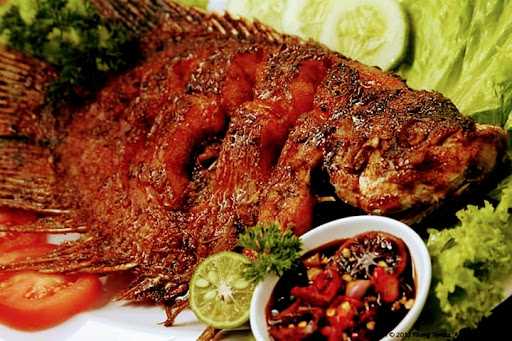 Seafood Sumber Rejeki 6