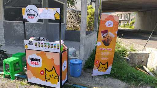 Miauw Bobba Malang Anggun 2