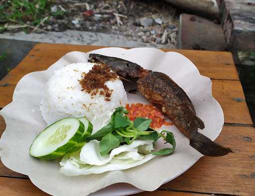 Ayam Bakar Madu Bejo 6