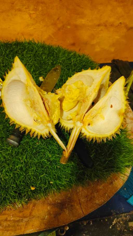 Bandar Durian Solo 1