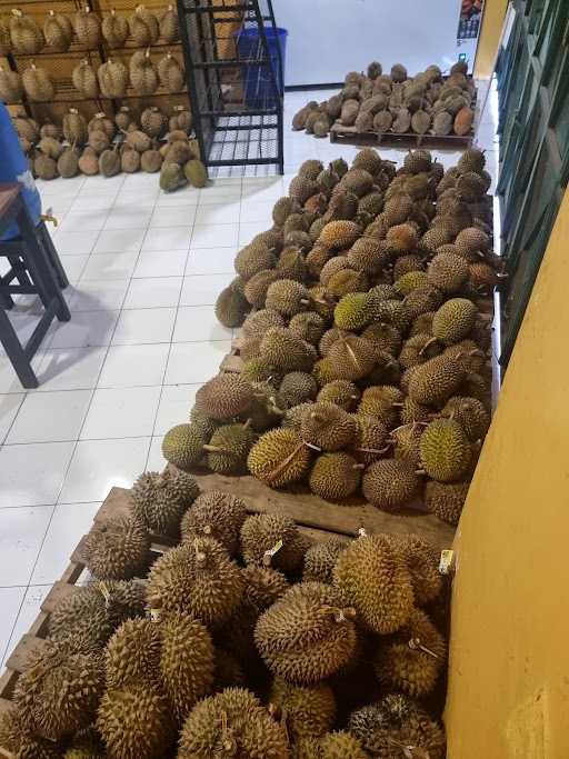 Bandar Durian Solo 4