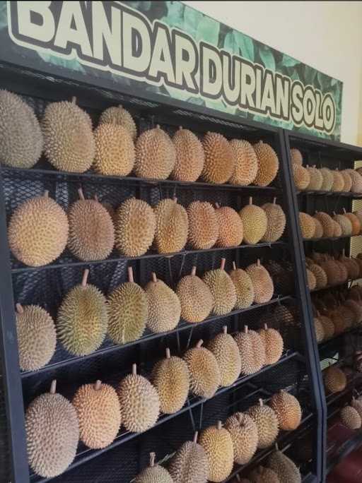 Bandar Durian Solo 7