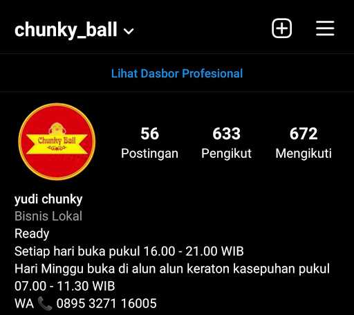 Chunky Ball Chicken Pop 9