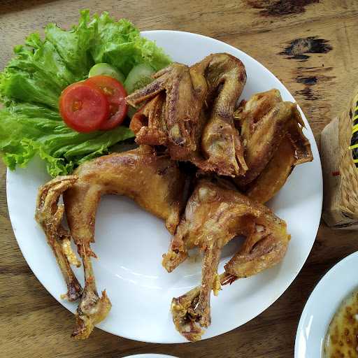 Ayam Gotik 4