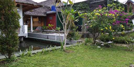 Kedai Saung Mm 9