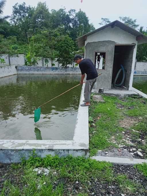 Kolam Ikan Tabet 6