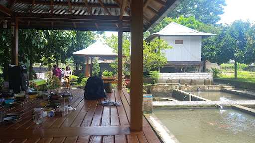 Warung Ikan Bakar Bunda Aisyah 9