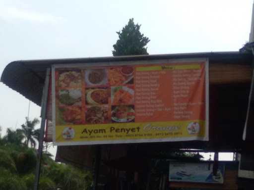 Ayam Penyet Orange 4