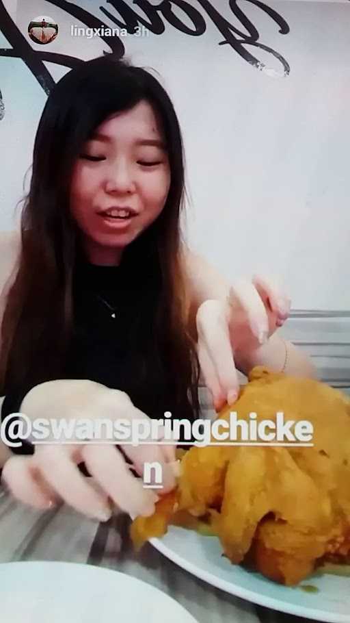 Swan Spring Chicken 4