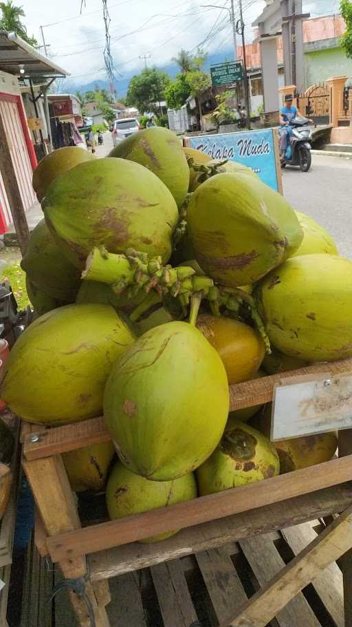 Kelapa Muda Roda Hidup 1