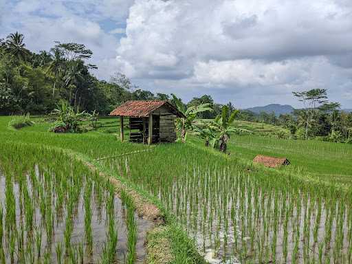 Warung Kopi Gs Tukong 10