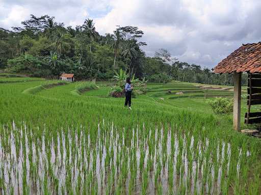 Warung Kopi Gs Tukong 3