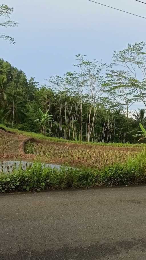 Warung Kopi Mba Ida 5