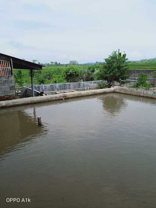 Warkop Saung Sawah 1