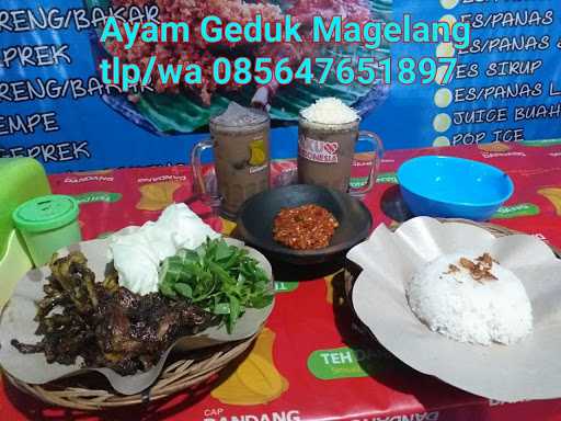 Ayam Geduk Magelang 3