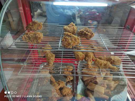 Cikal Chicken 2